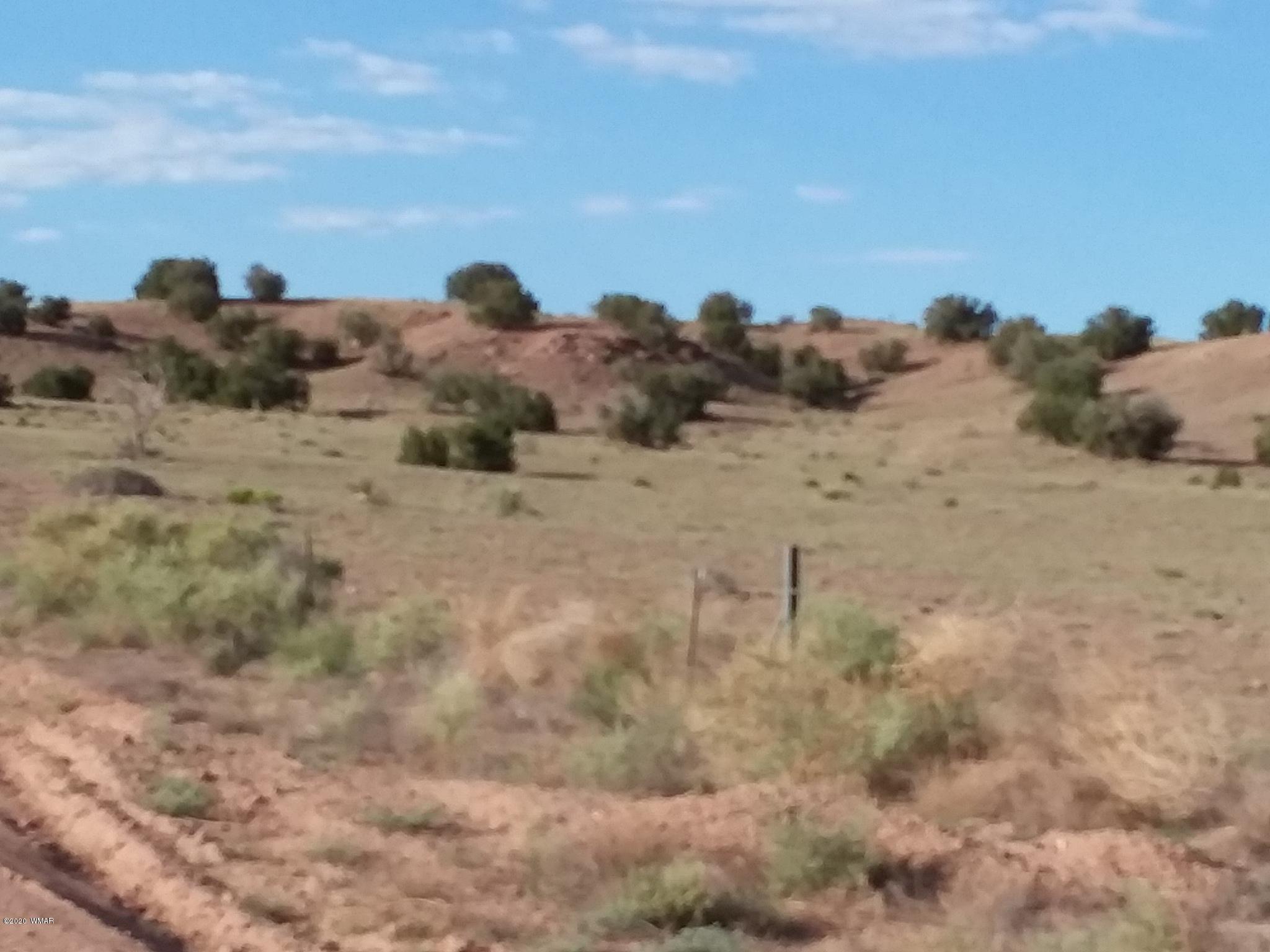 Lot 1 River Springs Ranch St. Johns, AZ 85936 - Photo 4 of 7