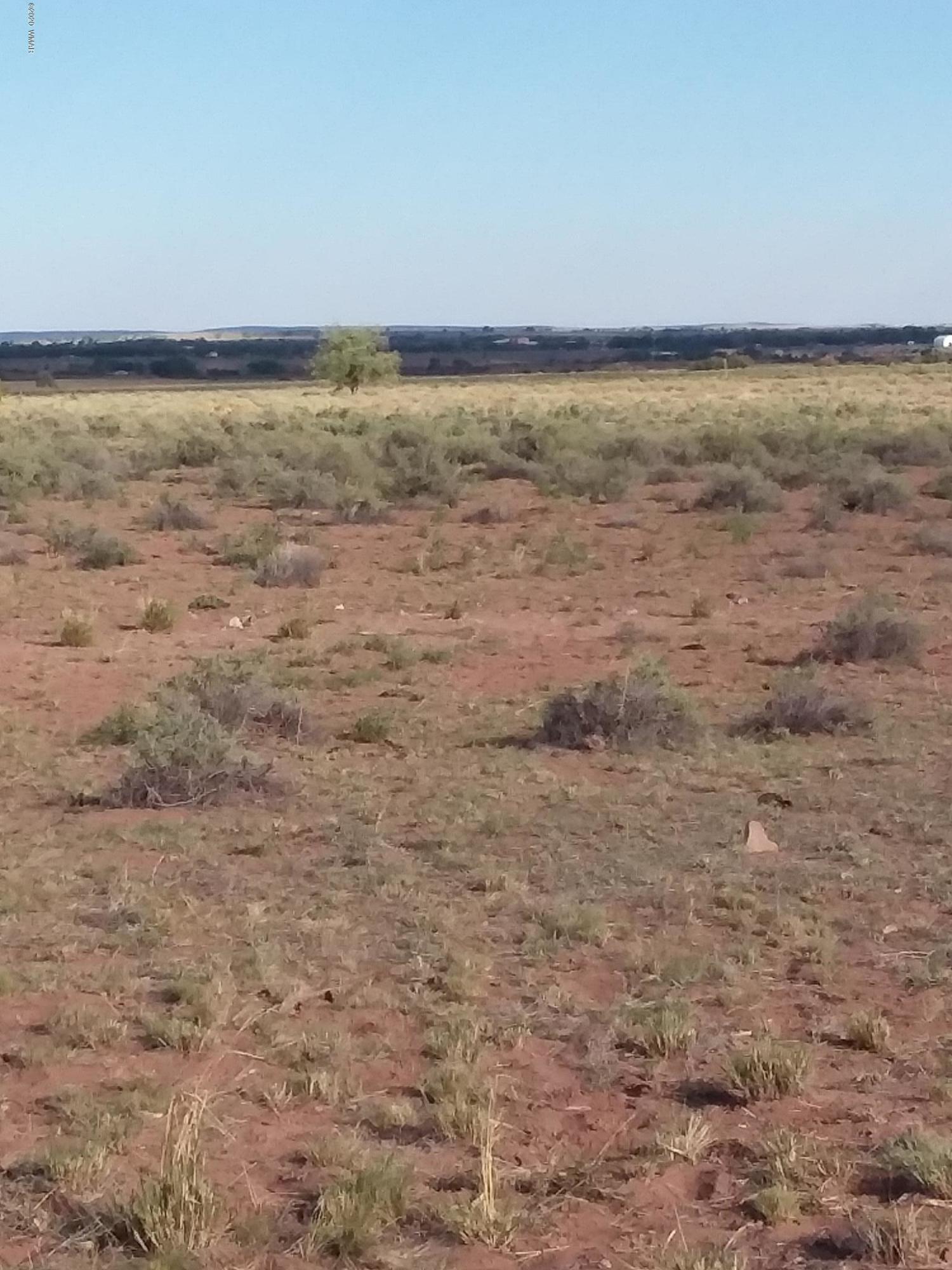 Lot 1 River Springs Ranch St. Johns, AZ 85936 - Photo 5 of 7