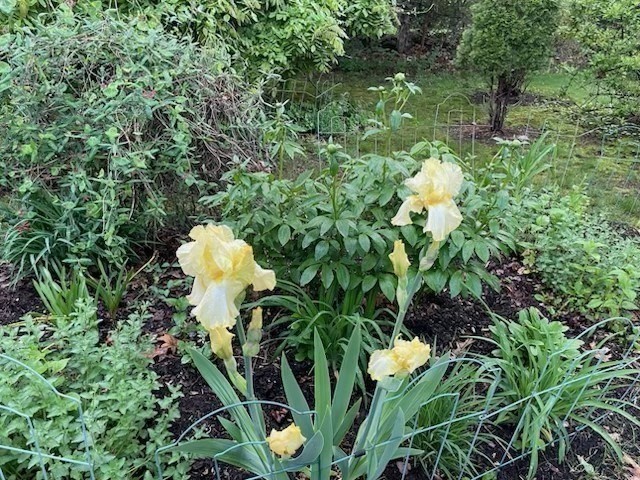 26 Nickerson Road Bedford, MA 01730 - Photo 7 of 40