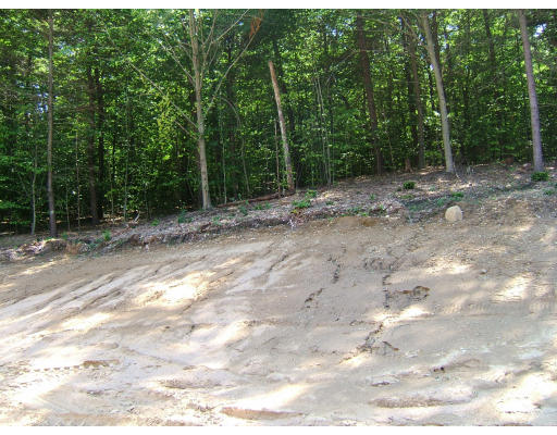 1011 Bay Road Amherst, MA 01002 - Photo 6 of 6