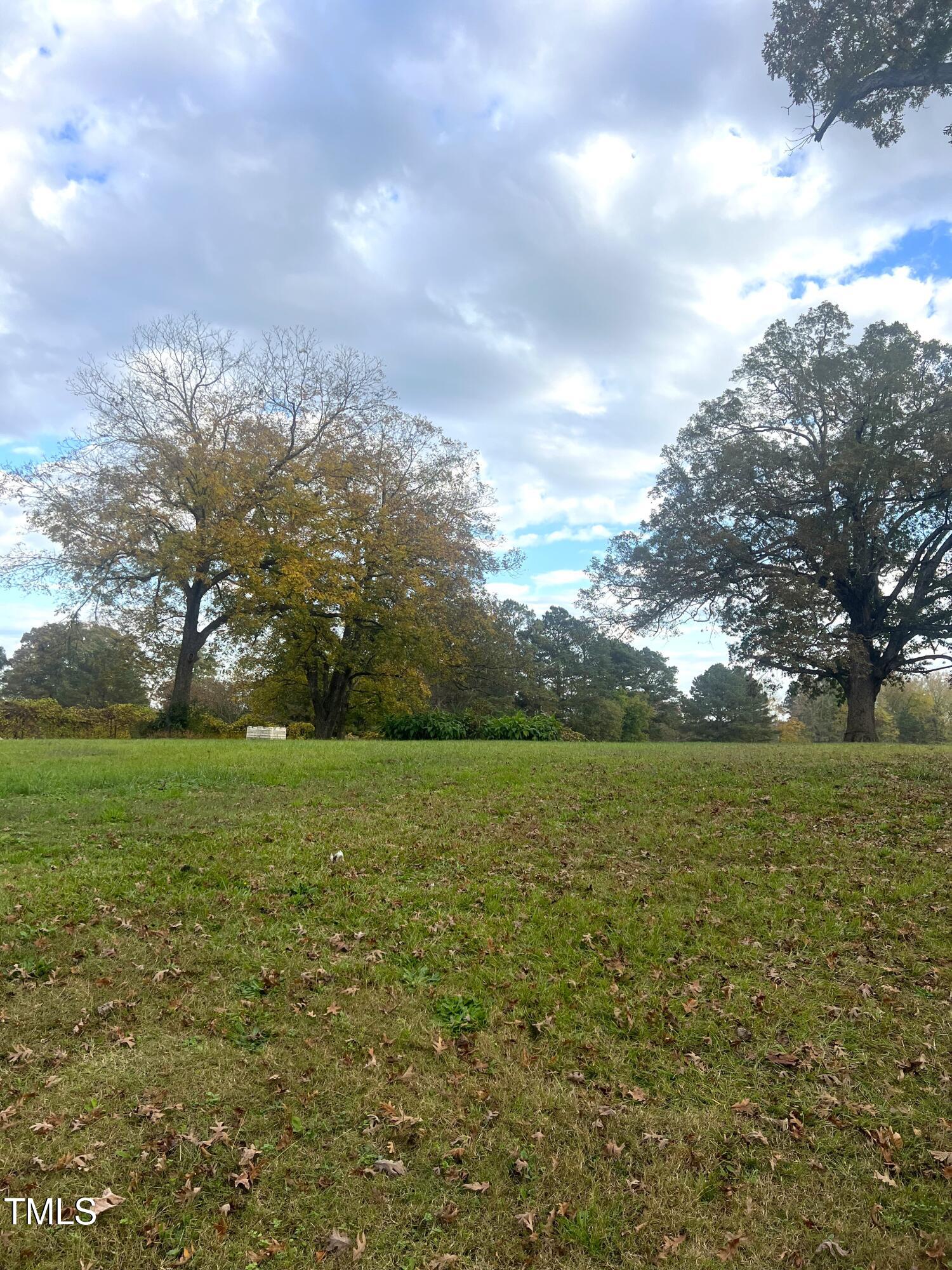 202 Pete Smith Road Louisburg, NC 27549 - Photo 3 of 3 a view of a field with an trees