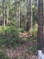 Lot 12 14th Street Santa Rosa Beach, FL 32459 - Photo 6 of 6 Access