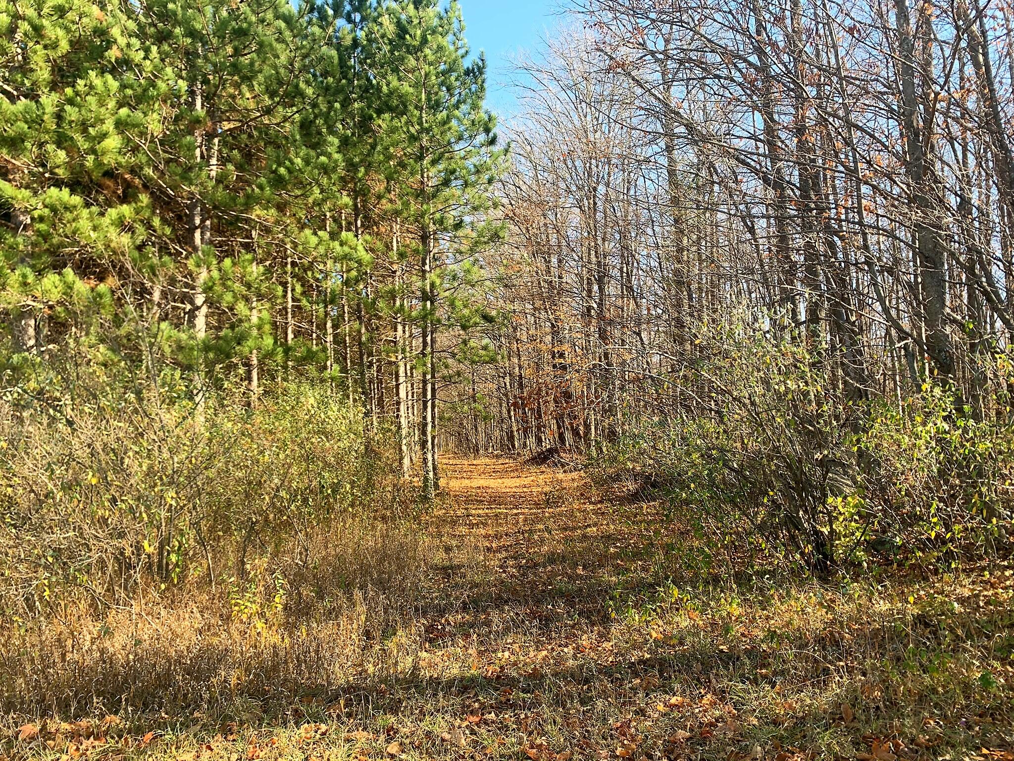 22811 Cohoon Road Hillman, MI 49746 - Photo 42 of 47 Gallery Image 42