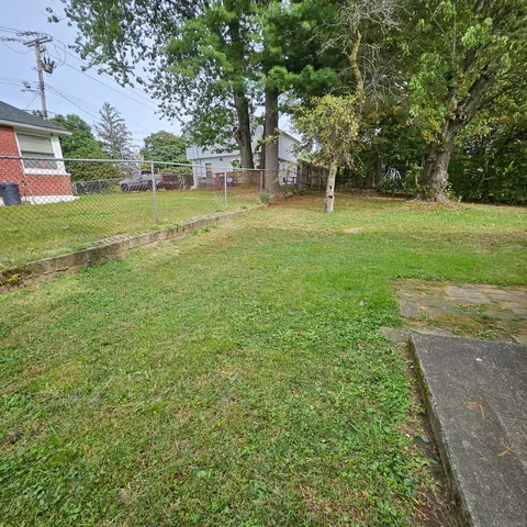 a view of a park with large trees