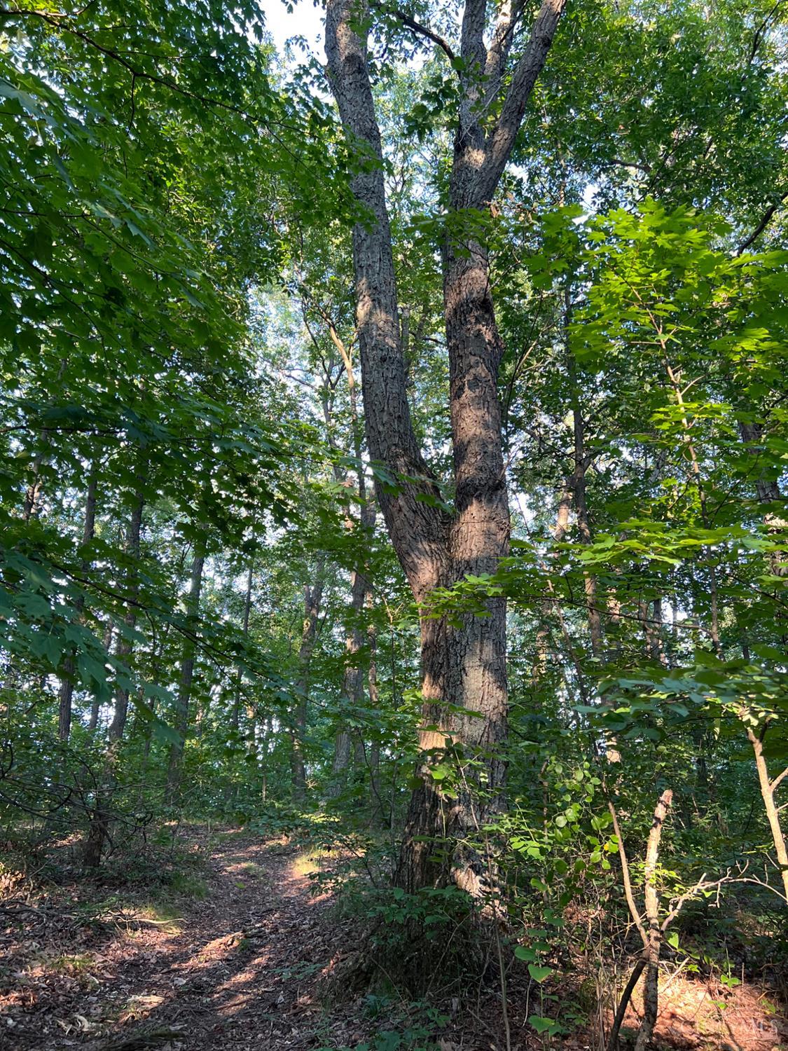 0 Tabernacle Road Chillicothe, OH 45601 - Photo 50 of 64