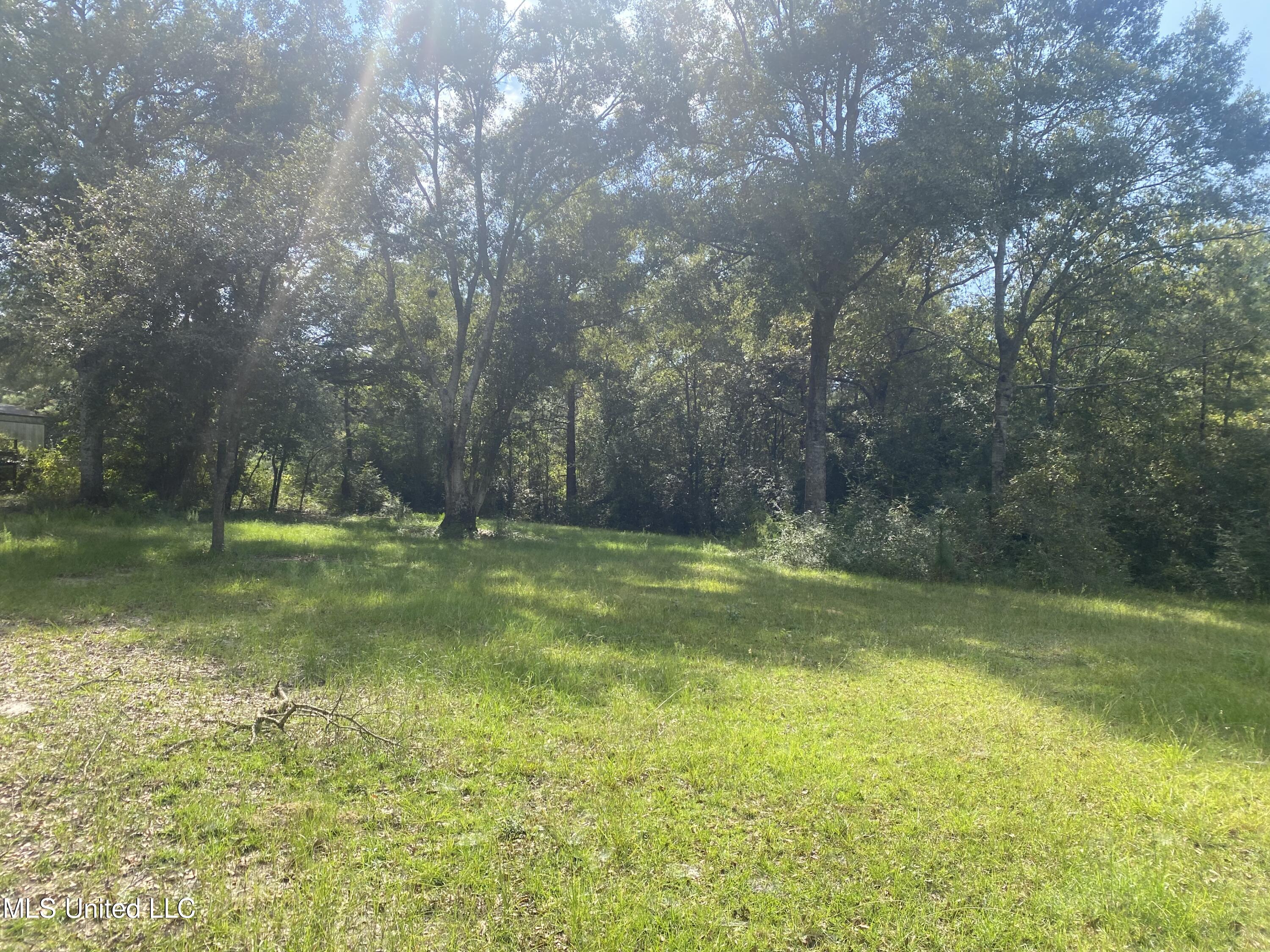 21880 West Wortham Road Saucier, MS 39574 - Photo 3 of 4 land