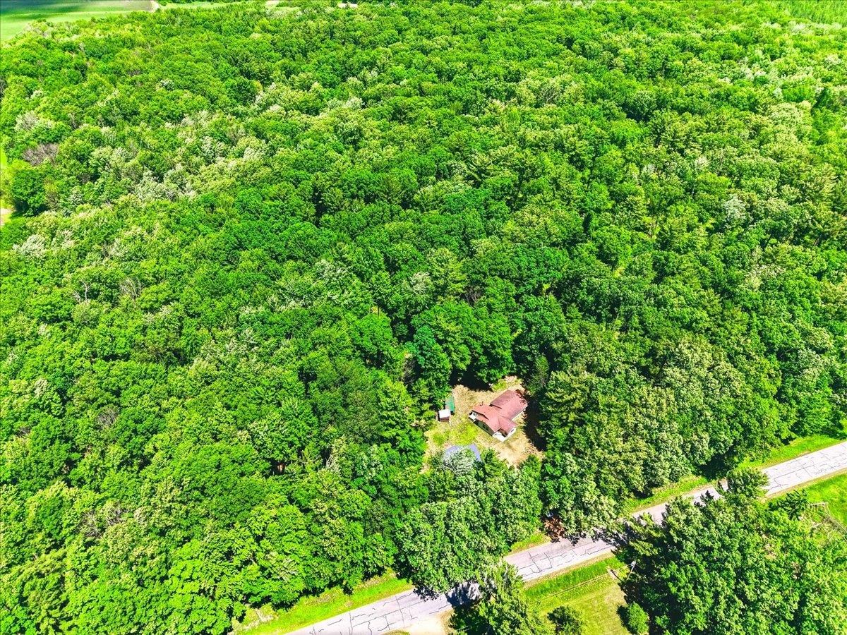 8792 Dexter Wood Road Pittsville, WI 54466 - Photo 44 of 48