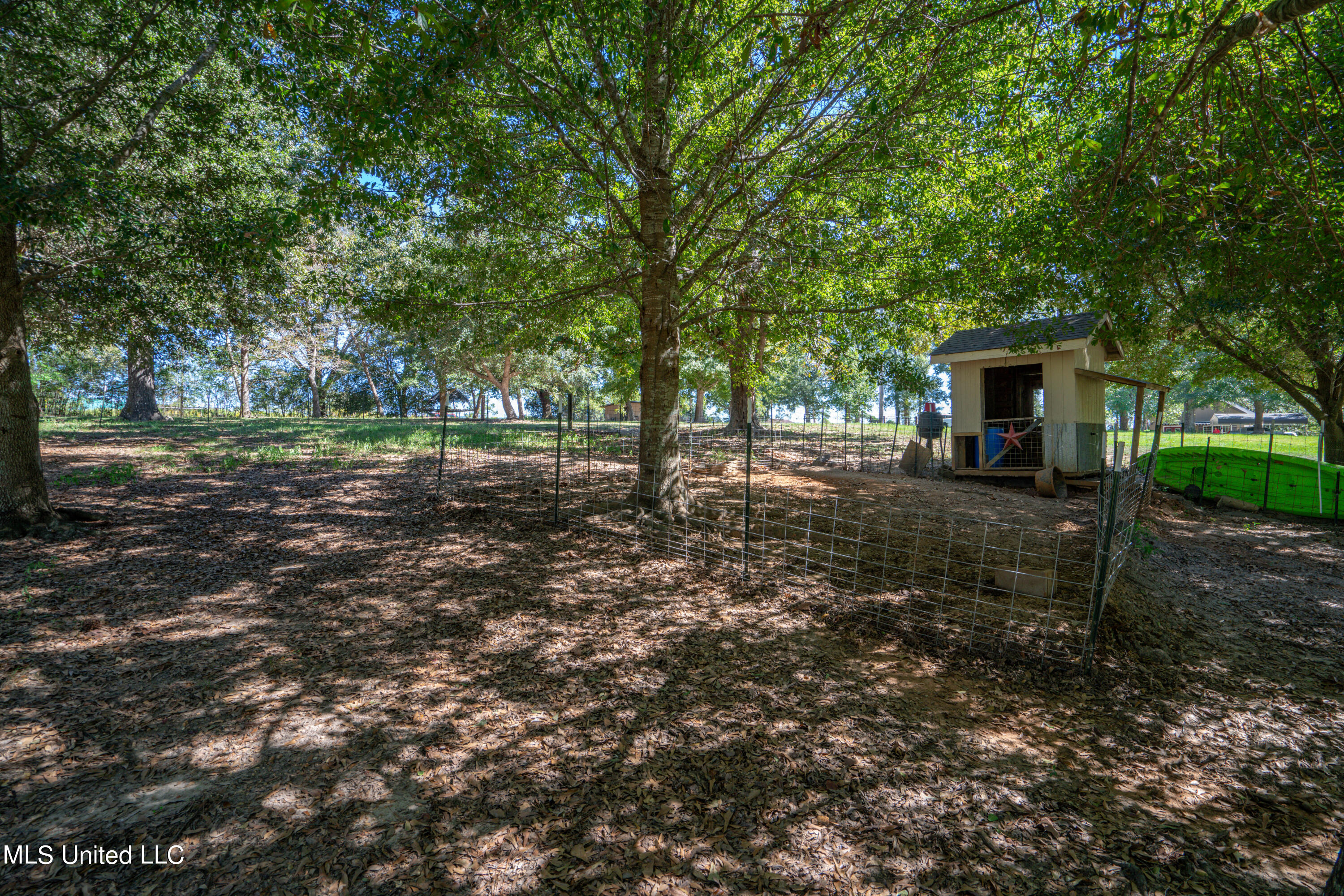 24752 Tally Shaw Road Perkinston, MS 39573 - Photo 33 of 39 Talley Shaw Rd-45