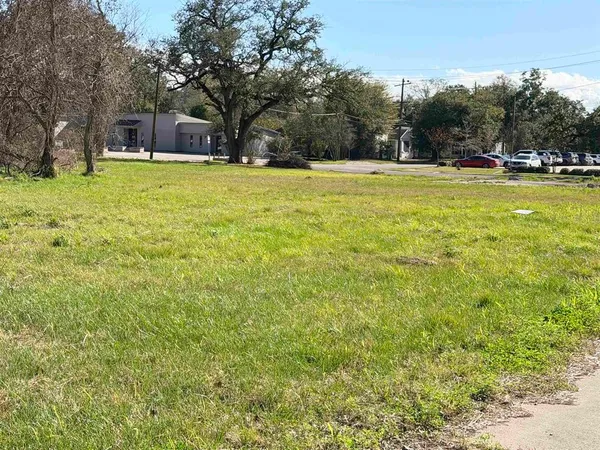 a view of a grassy field with trees