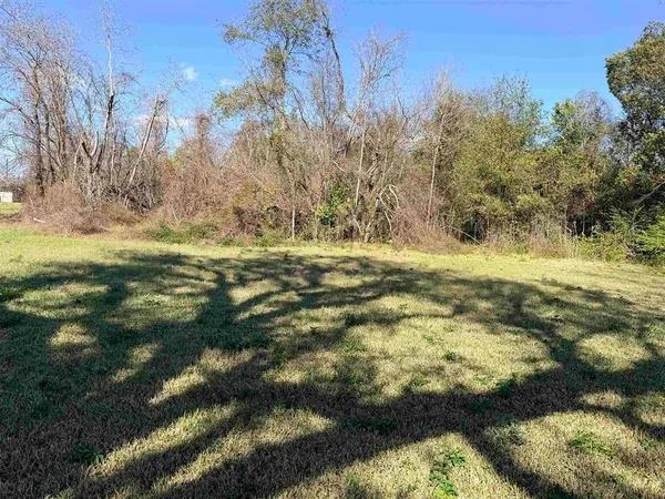 a view of an ocean beach