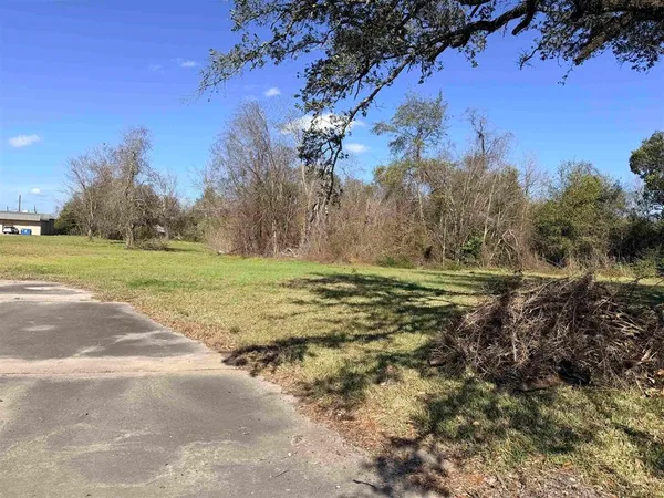 a view of a field with trees in the background