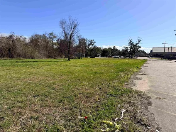 a view of outdoor space and yard