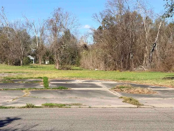 a view of a yard with a trampoline