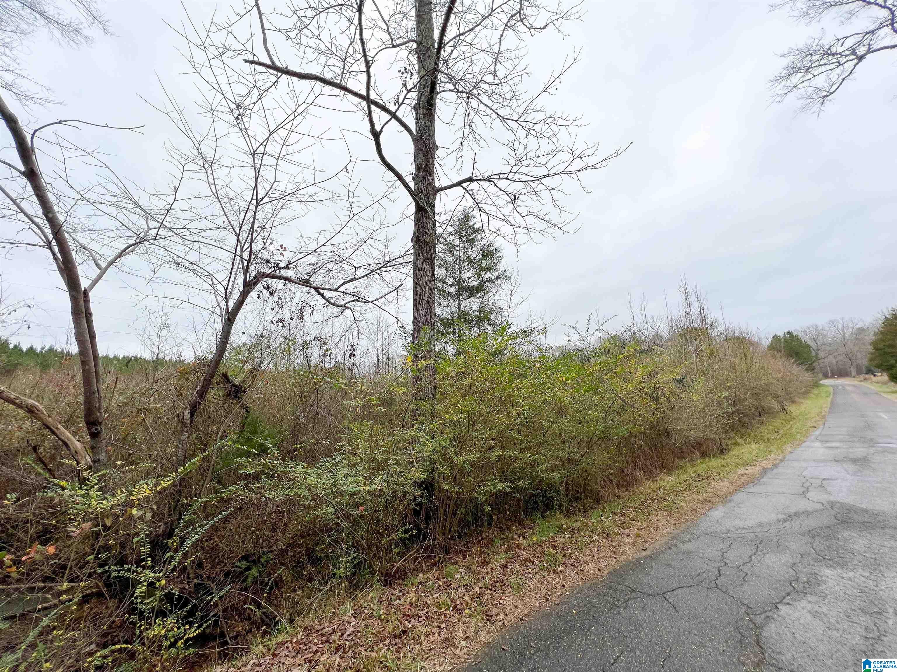1118 North County Road, Unit WP001 Winfield, AL 35594 - Photo 2 of 17