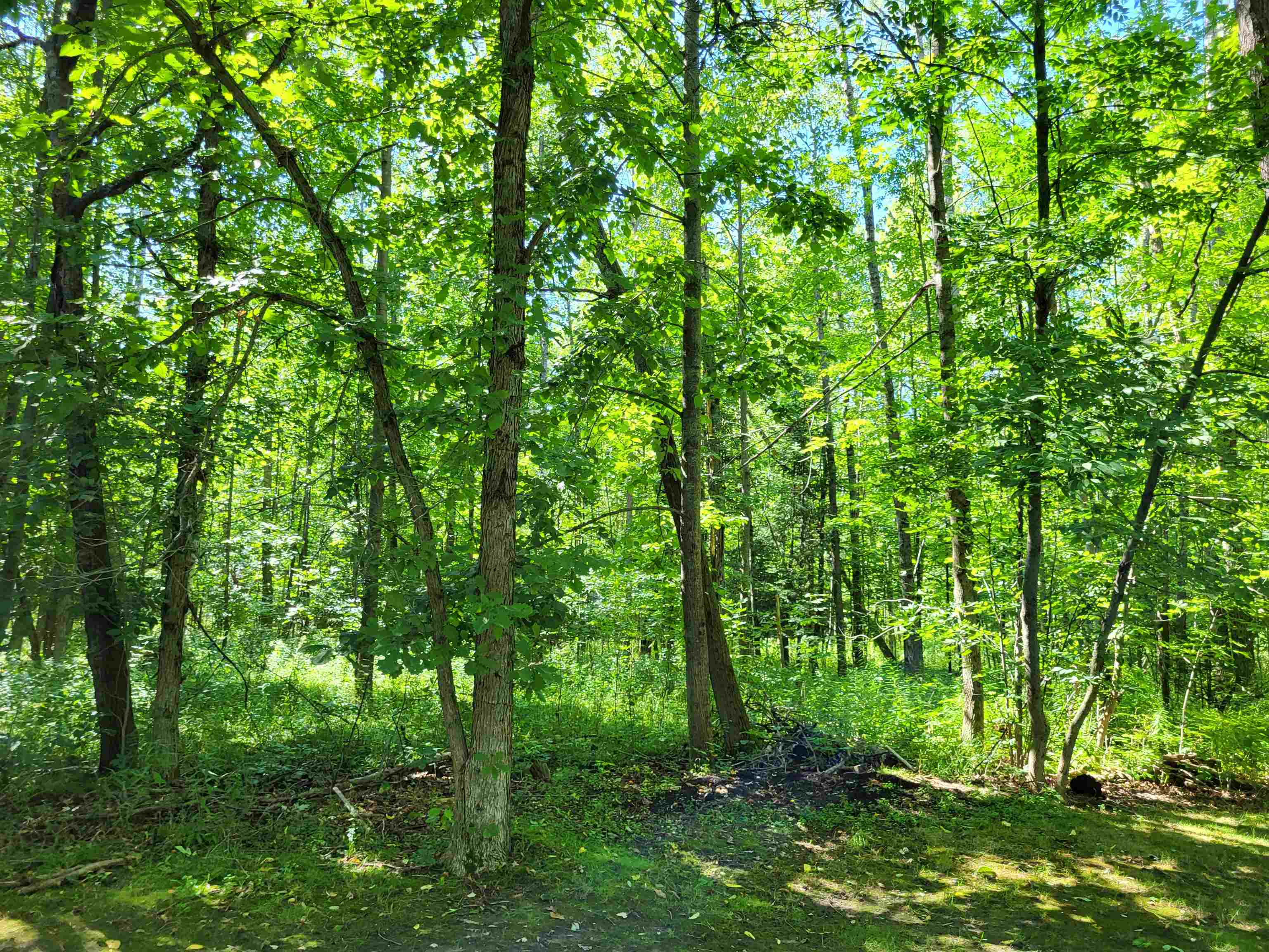 1845 Deerhaven Road Alger, MI 48610 - Photo 67 of 69