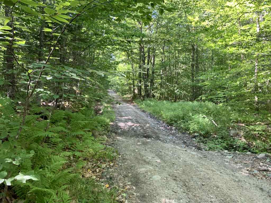 Beech Hill Road Warren, NH 03279 - Photo 2 of 2