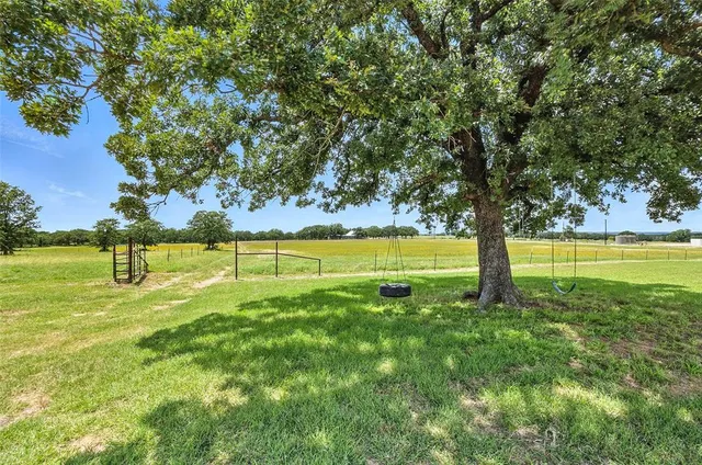 a view of a field with grass and trees