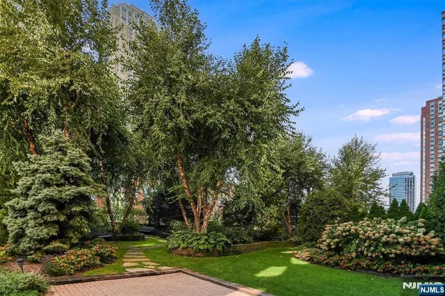 a view of a yard with plants and trees
