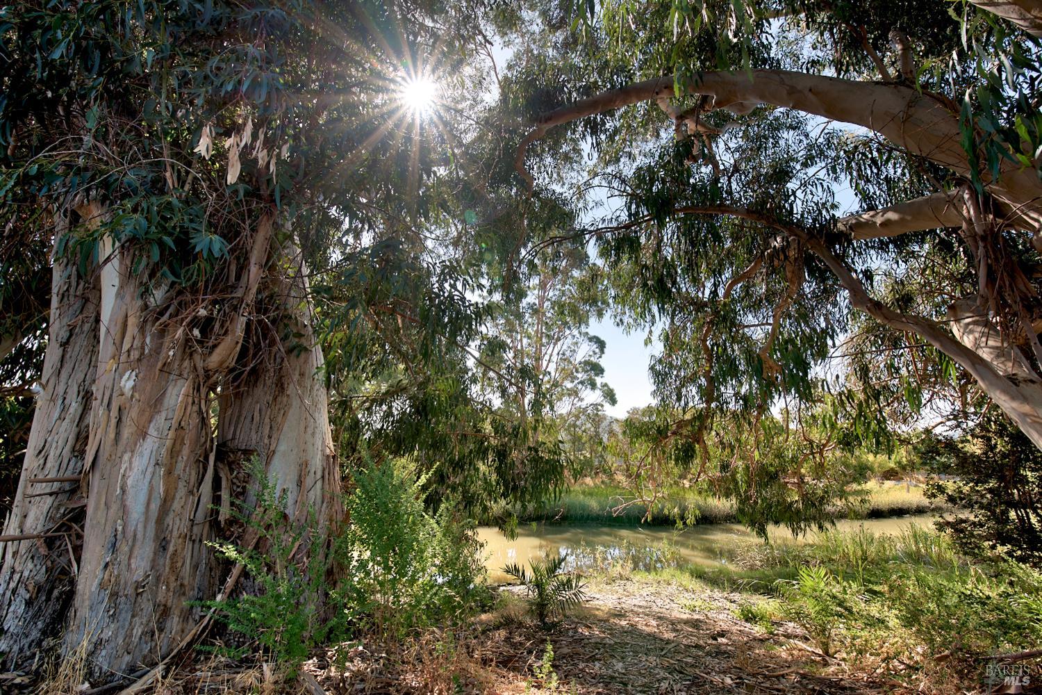 29 Keel Court San Rafael, CA 94903 - Photo 24 of 26