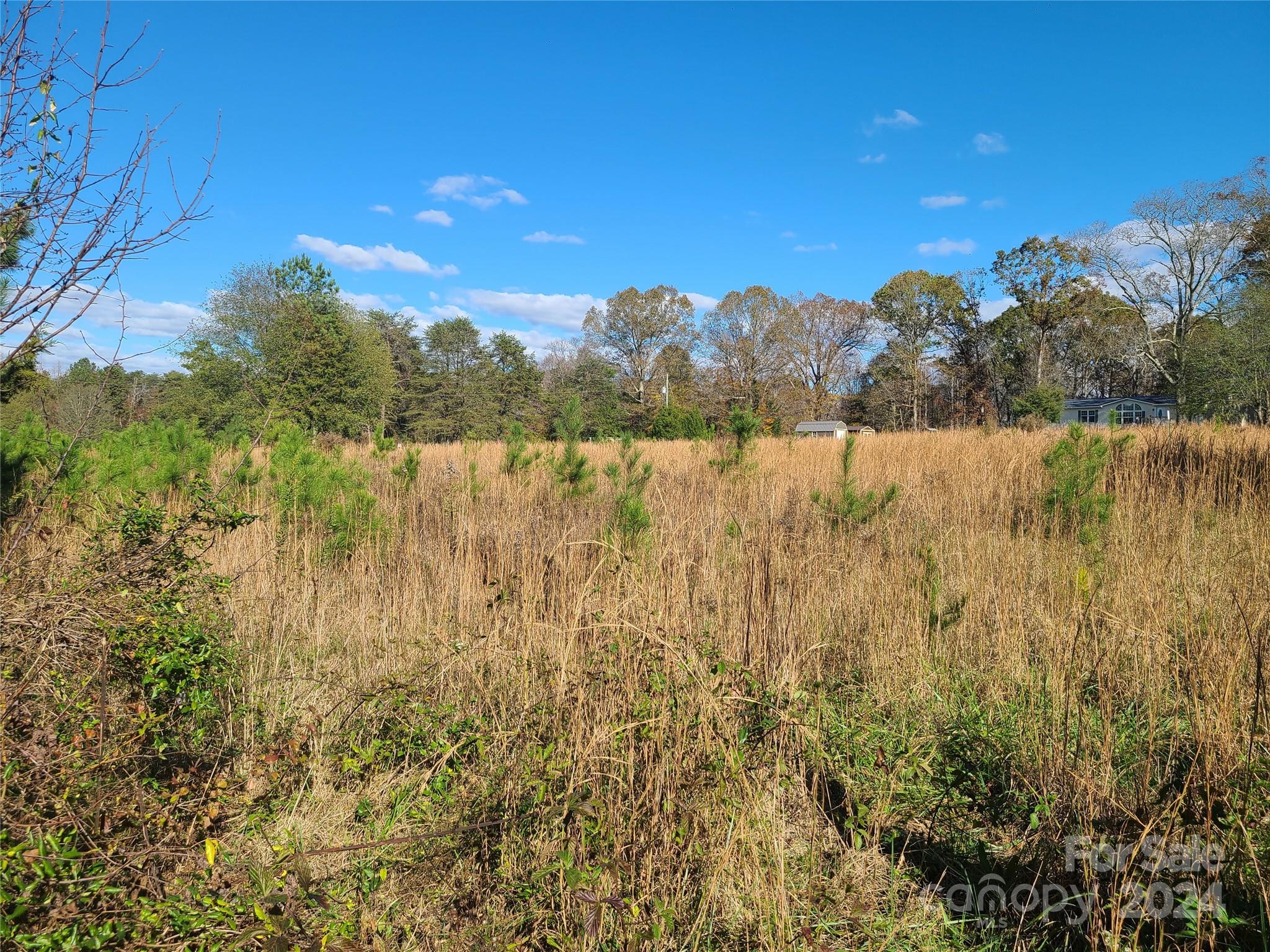 1.00-ac Rhyne Road Clover, SC 29710 - Photo 1 of 2 a view of lake with green space