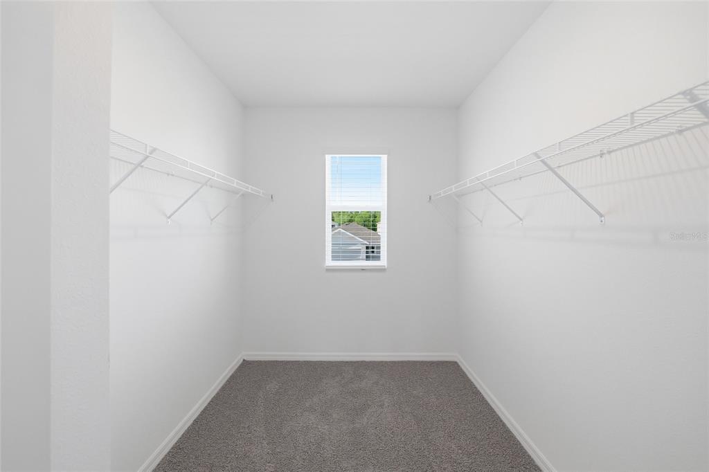 17786 Acorn Drop Road Land O Lakes, FL 34638 - Photo 24 of 50 an empty room with a window