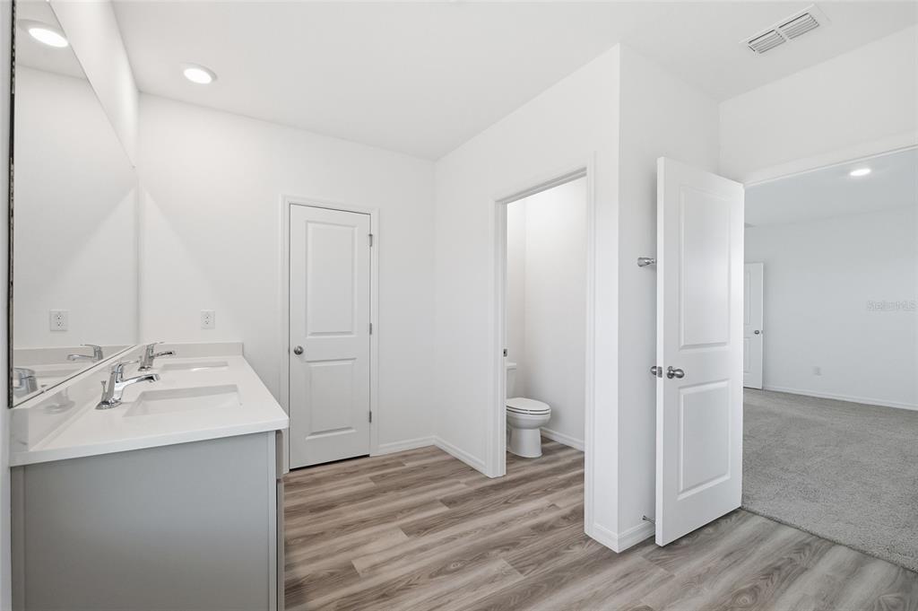 17786 Acorn Drop Road Land O Lakes, FL 34638 - Photo 27 of 50 a bathroom with a sink and a mirror