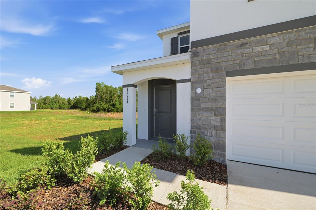 17786 Acorn Drop Road Land O Lakes, FL 34638 - Photo 41 of 50 a front view of a house with a yard