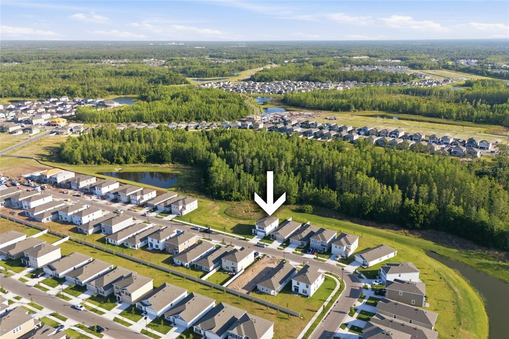 17786 Acorn Drop Road Land O Lakes, FL 34638 - Photo 44 of 50 a view of a city with an ocean