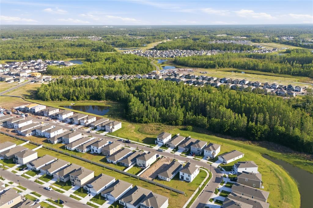 17786 Acorn Drop Road Land O Lakes, FL 34638 - Photo 46 of 50 an aerial view of a city