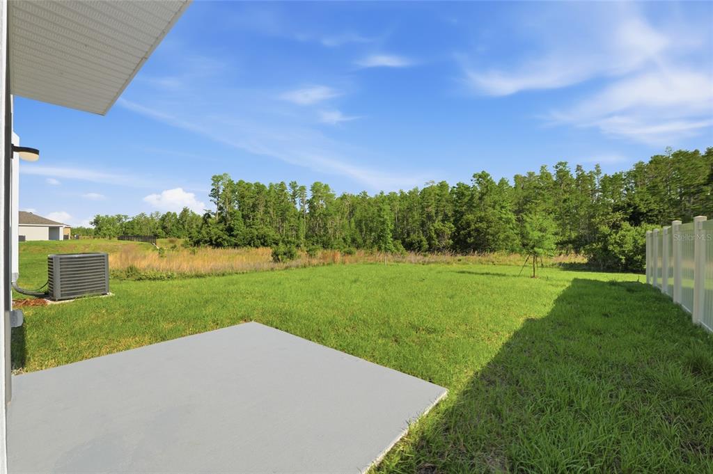 17786 Acorn Drop Road Land O Lakes, FL 34638 - Photo 48 of 50 a view of a garden and trees