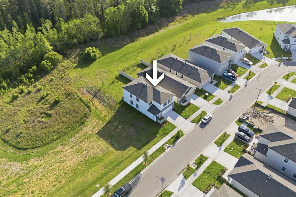 17786 Acorn Drop Road Land O Lakes, FL 34638 - Photo 5 of 50 an aerial view of a house with a garden and swimming pool