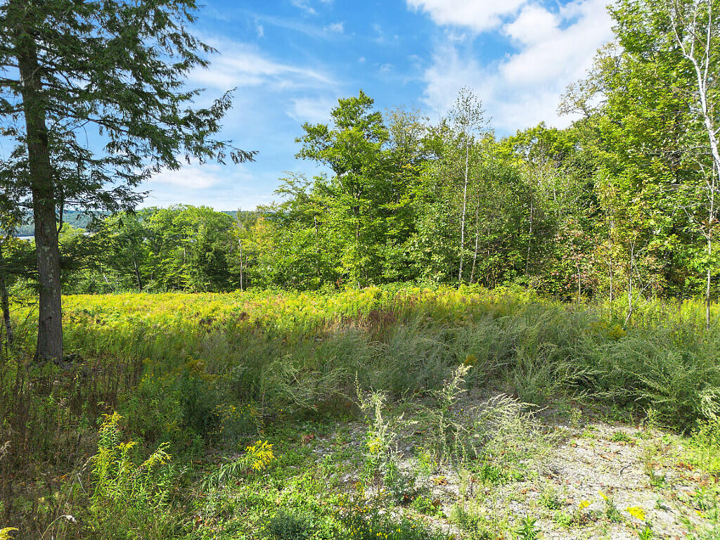462 Ithiel Gordon Road Mount Vernon, ME 04352 - Photo 14 of 29 13_DJI_0013_DxO_mls