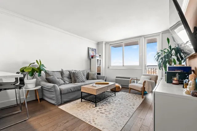 a living room with furniture and a potted plant