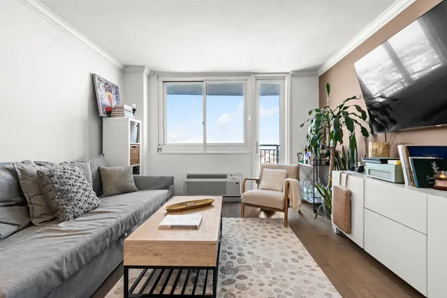 a living room with furniture and a rug