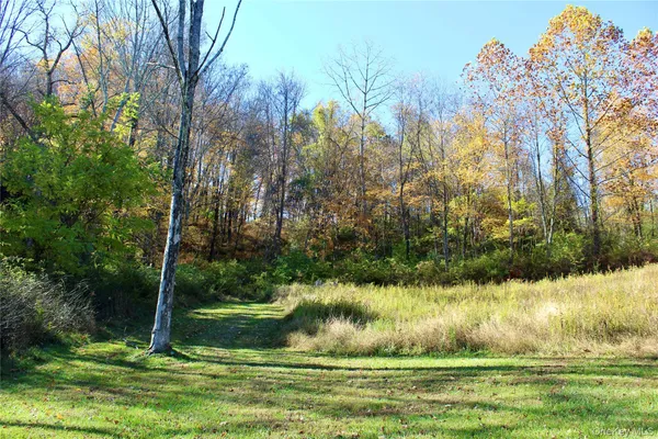 $4,900 | 3 Spruce Hill, Amenia, NY 12501