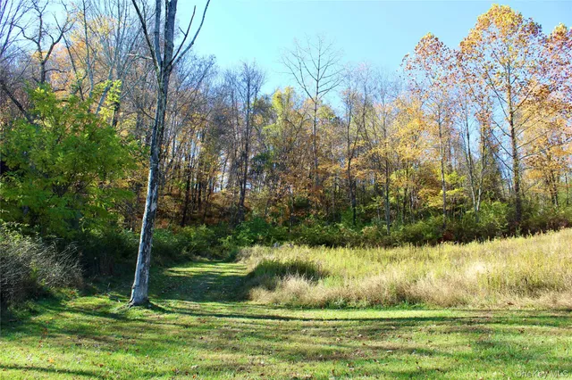 a view of a green field