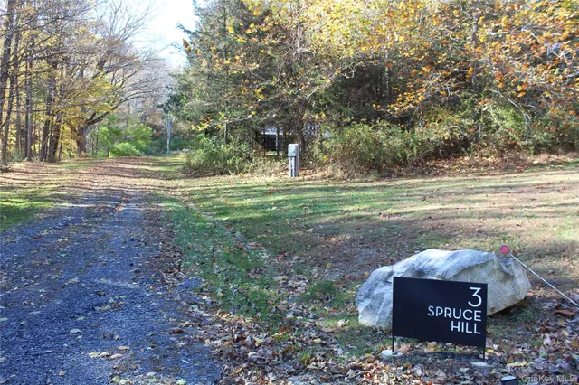 $4,300 | 3 Spruce Hill, Amenia, NY 12501