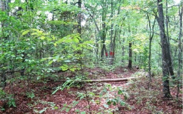Steertown Road Murphy, NC 28906 - Photo 1 of 1 Main View