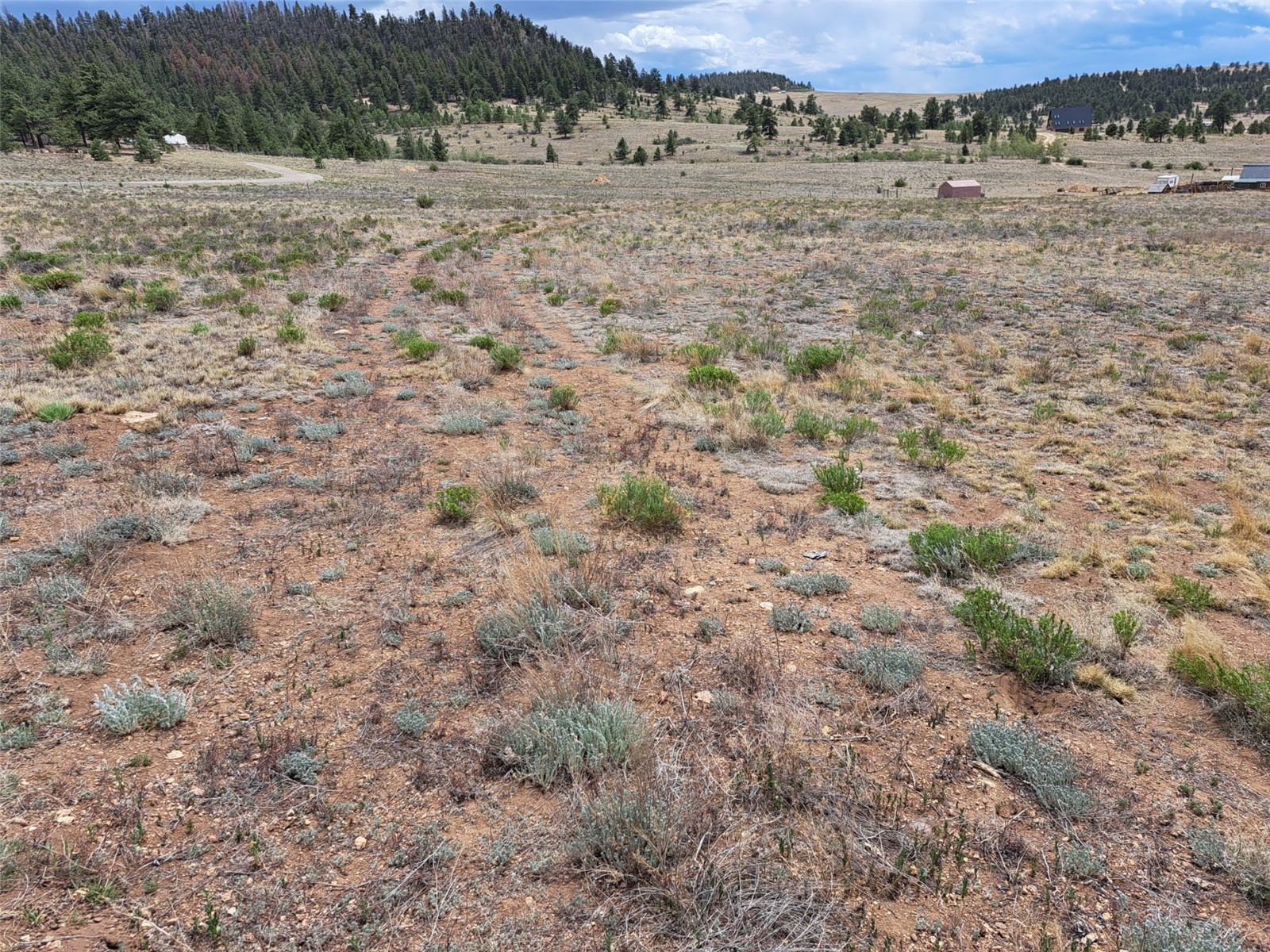 0 Cohonina Road Hartsel, CO 80449 - Photo 4 of 20 a view of a dry field