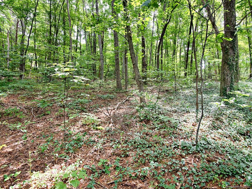 125 Naples Road Asheville, NC 28804 - Photo 22 of 25 Gallery Image 22