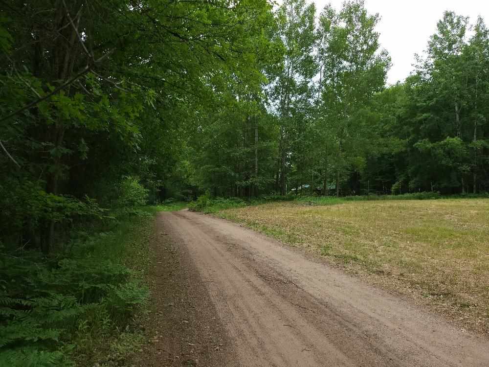 881 Sugar River Road Gladwin, MI 48624 - Photo 27 of 30