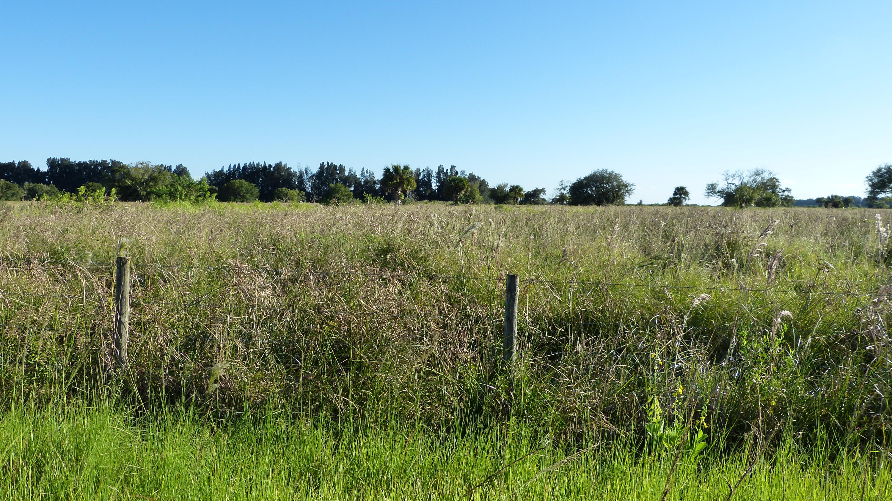 3 Pineapple Lane Fort Pierce, FL 34945 - Photo 3 of 4