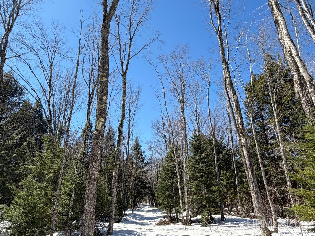 40-acres Dukes Road Skandia, MI 49885 - Photo 15 of 24