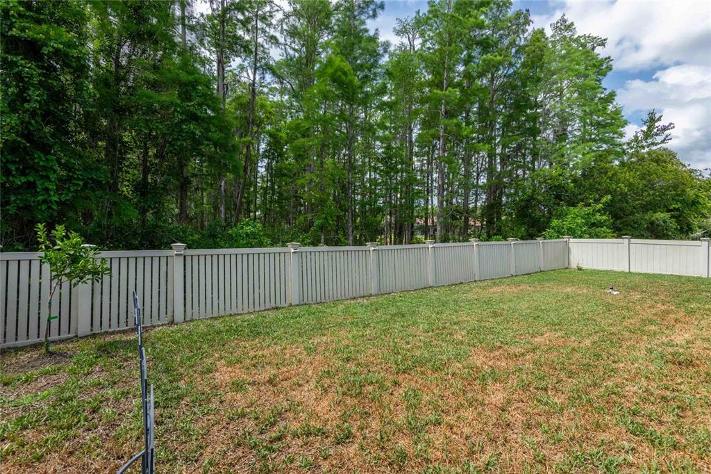 12846 Tikal Way Trinity, FL 34655 - Photo 45 of 54