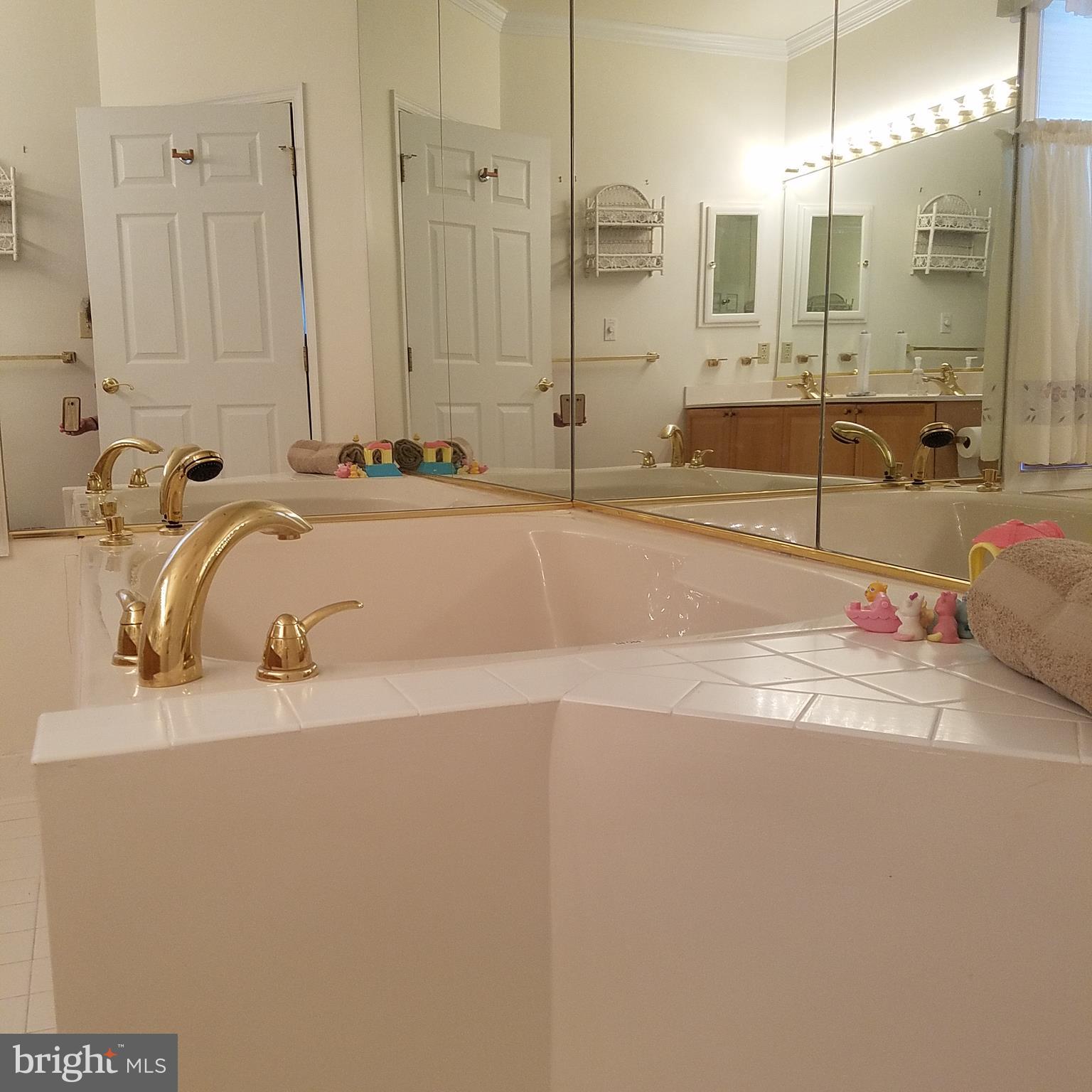 526 Runabout Loop Solomons, MD 20688 - Photo 23 of 33 Master Bath view 2