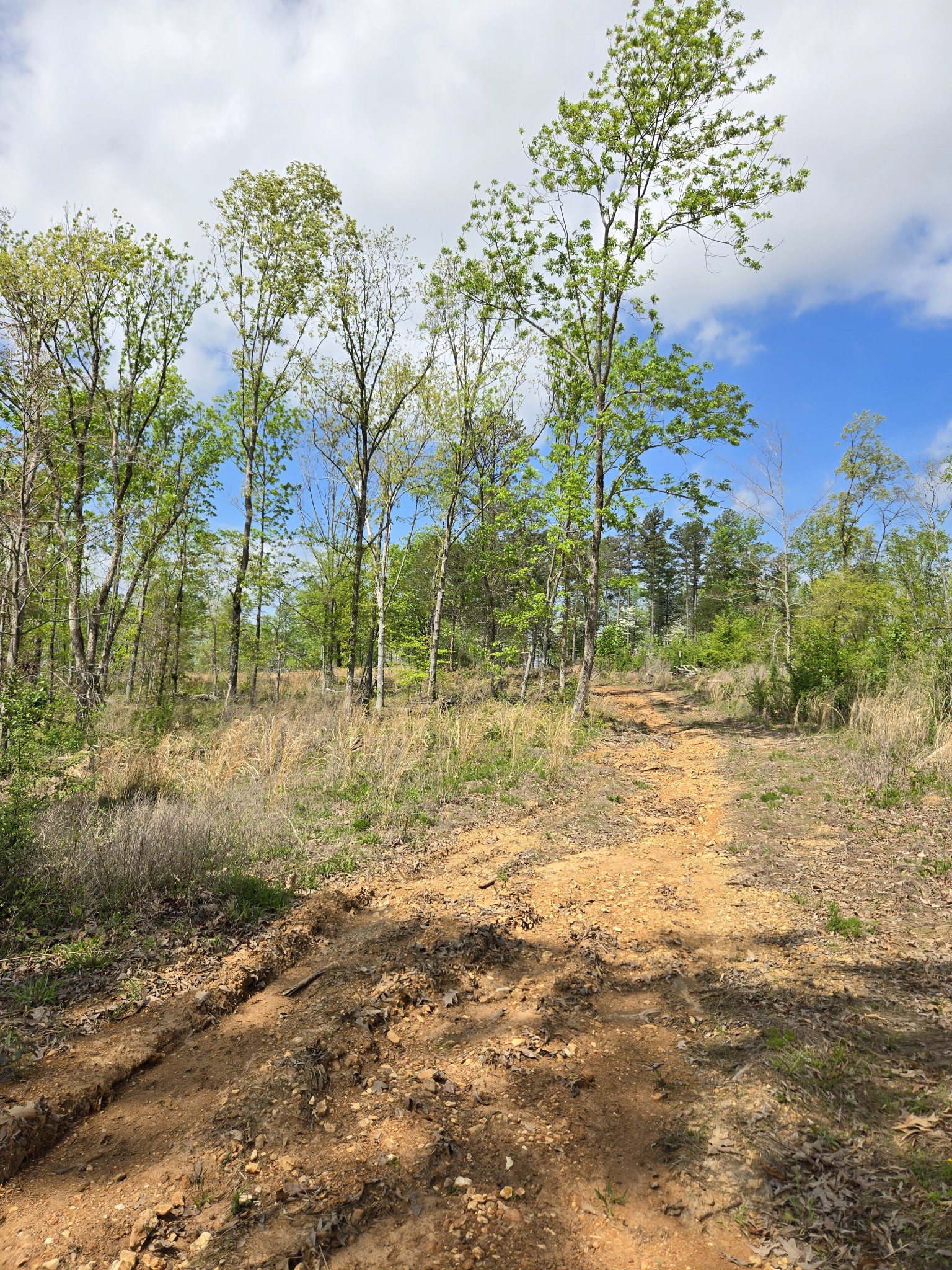 0 Cedar Grove Road Iron City, TN 38463 - Photo 11 of 11
