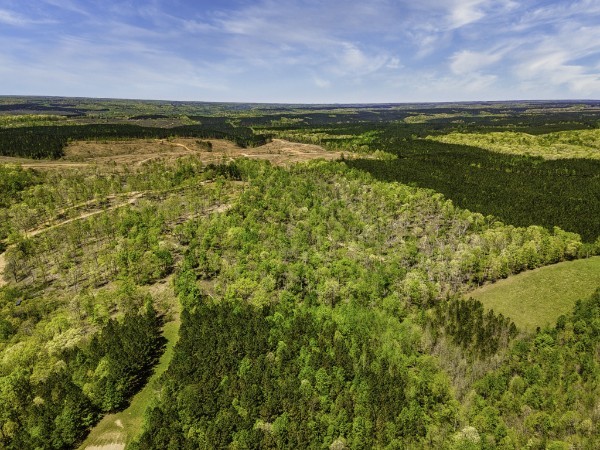 0 Cedar Grove Road Iron City, TN 38463 - Photo 2 of 11