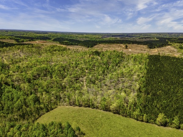 0 Cedar Grove Road Iron City, TN 38463 - Photo 4 of 11