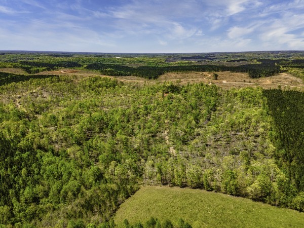 0 Cedar Grove Road Iron City, TN 38463 - Photo 5 of 11