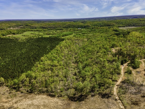 0 Cedar Grove Road Iron City, TN 38463 - Photo 6 of 11